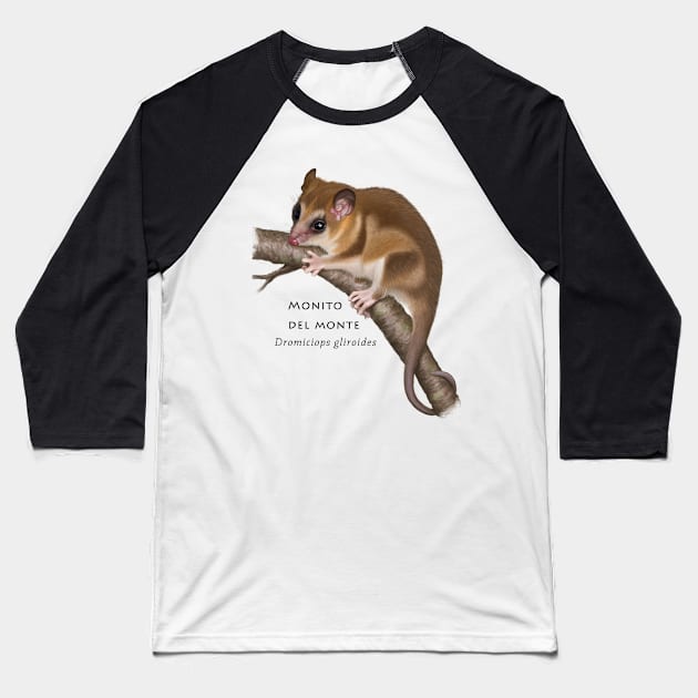 colocolo opossum Baseball T-Shirt by uialwen